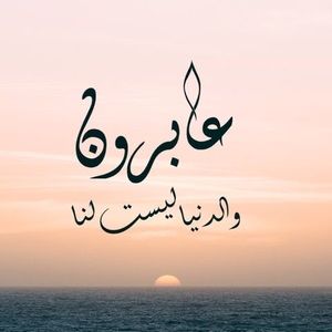 Meet your Posher, Faz